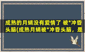 成熟的月蝎没有爱情了 被*冲昏头脑(成熟月蝎被*冲昏头脑，是否失去了爱情？)